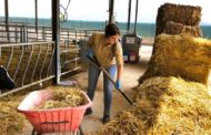 AVA-ASAJA es congratula de les noves ajudes del Consell a joves agricultors