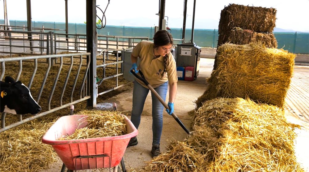 AVA-ASAJA convoca reunions per a assessorar sobre les noves ajudes a joves i nous agricultors de fins a 56 anys