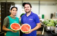 Més de 3.600 persones participen en els cursos gratuïts d'Agricultura en el 1r semestre