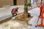 El Festival de Música Antiga i Barroca de Peníscola comença l'aniversari amb Collegium Instrumentale