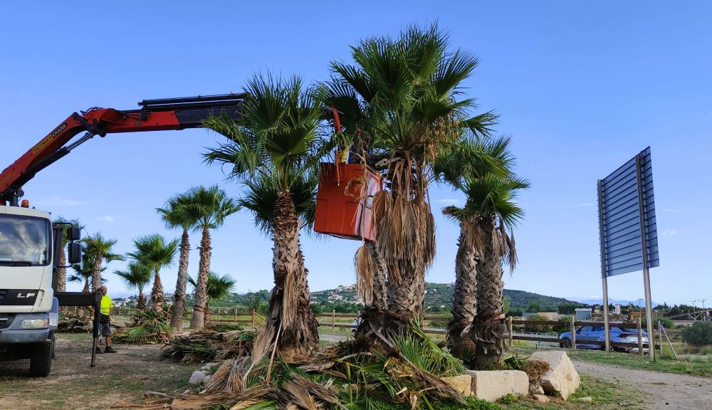La Regidoria d'Obres i Serveis de Vinaròs adequa el parc caní de la Paret Blanca