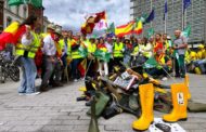 AVA-ASAJA rebutja la retallada del 25% de la PAC i exigix mesures enfocades al mercat