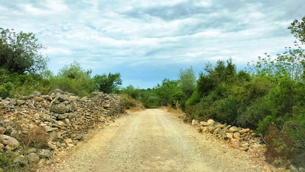 Càlig adequa les zones més afectades per la DANA