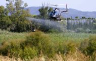 La Diputació intensifica la lluita contra els mosquits per via aèria