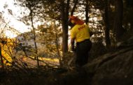 Les Brigades Rurals d'Actuació Forestal de la Diputació, claus en la prevenció d'incendis