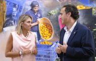 La Diputació millora el senyal de TV en 9 pobles menuts per a garantir un «interior connectat»