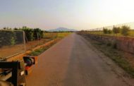 La Regidoria d'Agricultura de Vinaròs reprendrà el desbrossament dels camins rurals
