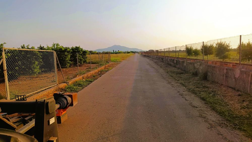 La Regidoria d'Agricultura de Vinaròs reprendrà el desbrossament dels camins rurals