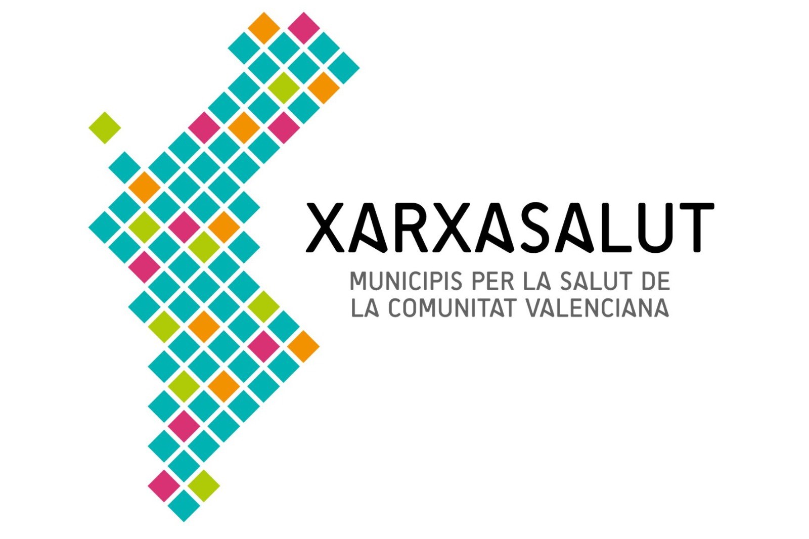L'OCDE reconeix a XarxaSalut com a exemple internacional d'acció comunitària en salut pública