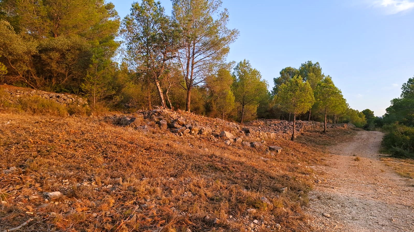 Canet lo Roig neteja i desbrossa diferents camins del terme municipal per a la prevenció d’incendis