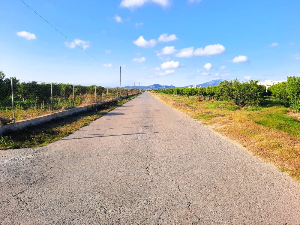 La Regidoria d'Agricultura de Vinaròs continua amb el desbrossament dels camins rurals