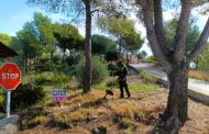 L’Ajuntament de Vinaròs executa els treballs emmarcats en el Fons Estratègic Forestal