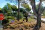 El GAL Maestrat Plana Alta emprén un projecte cultural amb grups de Castelló, Tarragona i Terol