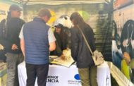 La Generalitat promociona el turisme ornitològic en «Falsterbo Bird Show»