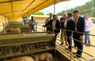 La Diputació enaltix la Fira de Morella com a aparador del sector primari i la tradició ramadera