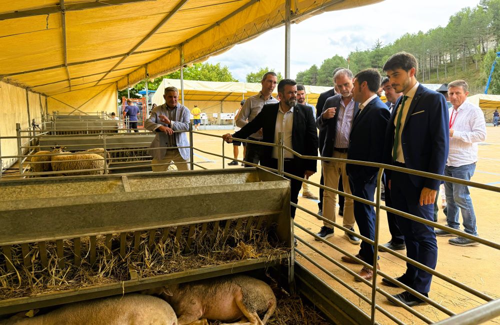 La Diputació enaltix la Fira de Morella com a aparador del sector primari i la tradició ramadera