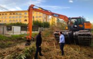 L'Ajuntament de Peníscola participa en un projecte europeu que millorà l'hàbitat de la marjal