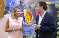 La Diputació de Castelló garantix el senyal de televisió a l'interior de la província