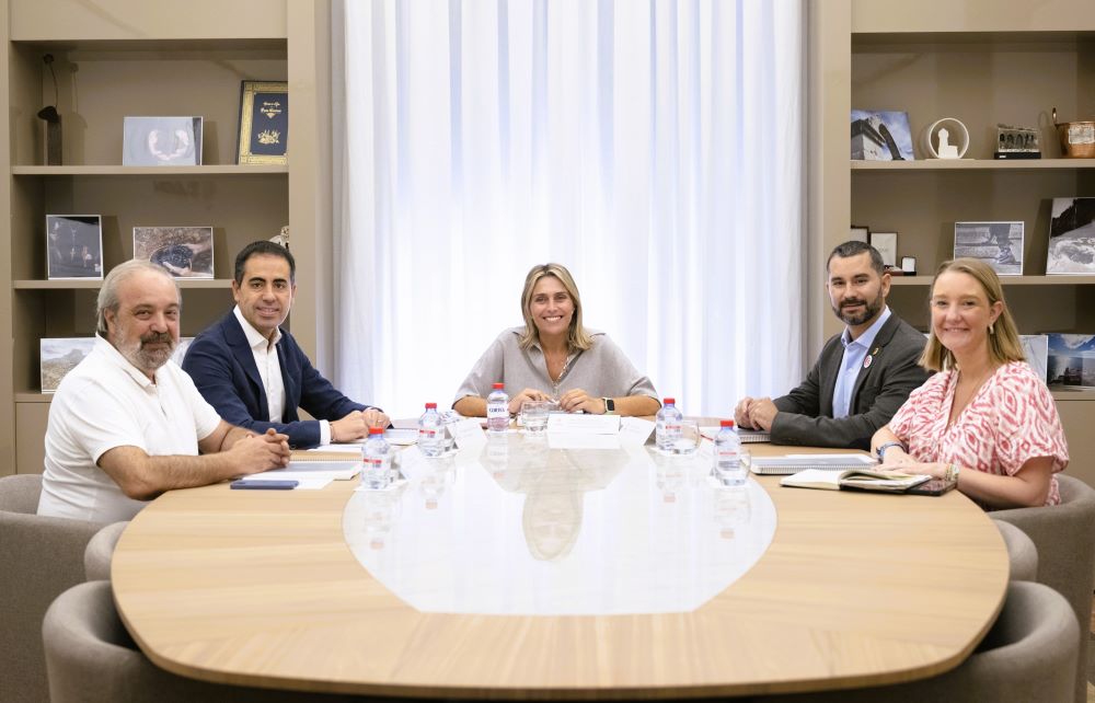 Barrachina promou un gran acord polític perquè el pla Futur Província marque el full de ruta que la impulse