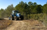 Tírig reforça amb treballs de desbrossament i millora de camins la seguretat del terme municipal