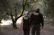 La Diputació aposta per la seguretat al camp amb ajudes a 15 pobles per a guardes rurals