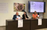 La Diputació enaltix la labor diària dels tècnics de desenvolupament local en l'avanç global de la província