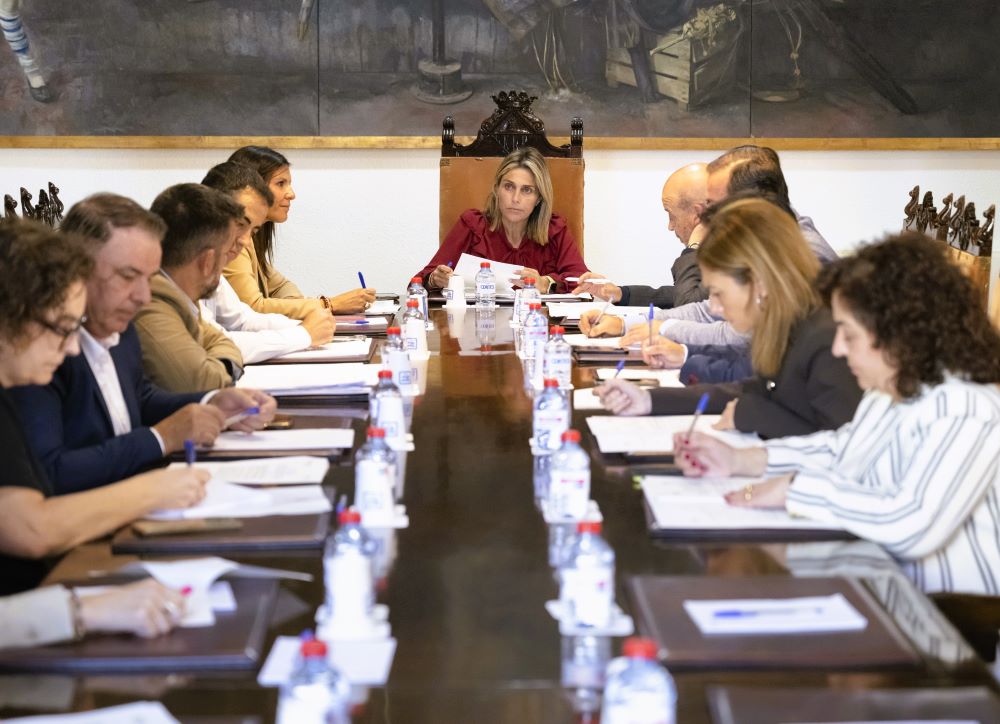 La Diputació millora la mobilitat dels veïns de 84 pobles amb el nou servei de transport a demanda