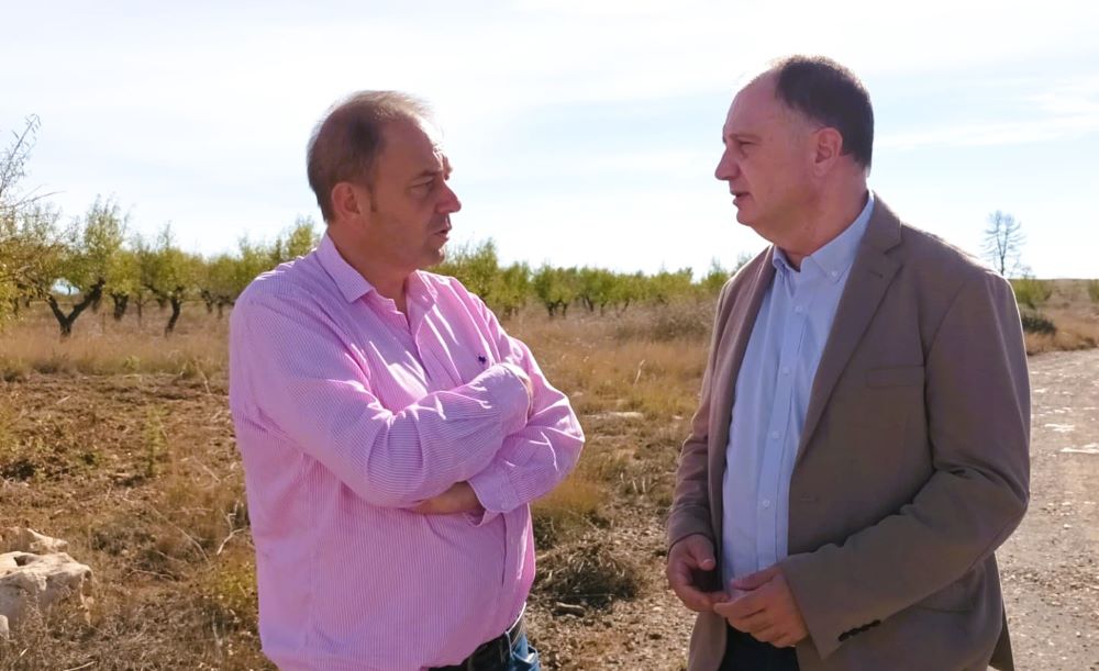 La província rep 280.000 euros del Consell per a controlar el senglar i evitar riscos