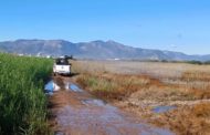 La Diputació reforça el control, la vigilància i la fumigació de mosquits després de les pluges
