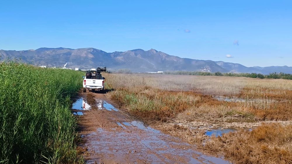La Diputació reforça el control, la vigilància i la fumigació de mosquits després de les pluges