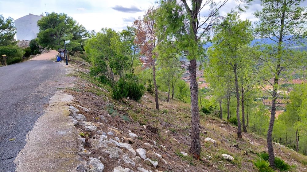 Alcalà-Alcossebre executa el Pla Local de Prevenció d'Incendis Forestals amb ajudes de la Generalitat