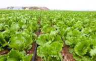 AVA-ASAJA critica la nova normativa sobre nutrició sostenible per augmentar la càrrega burocràtica al camp