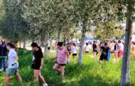 L'Ajuntament de Peníscola impulsa el projecte «Coneix Peníscola Sostenible»