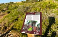 L'Ajuntament de Vinaròs millora la senyalització del Jardí de Sòl de Riu