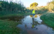 La Diputació intensifica les actuacions de vigilància i tractament per a previndre la proliferació de mosquits