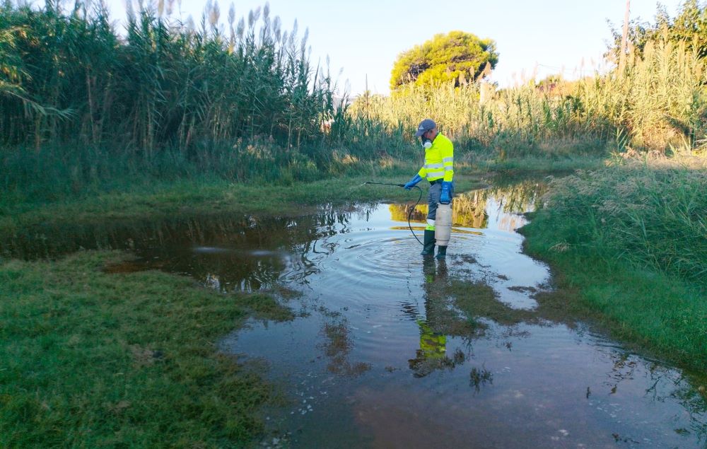 La Diputació intensifica les actuacions de vigilància i tractament per a previndre la proliferació de mosquits