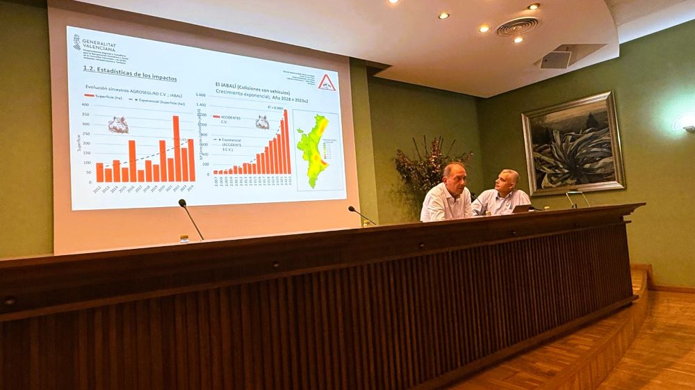 La Generalitat consolida la gestió, caça i control de senglars i altres espècies i prepara un reforç