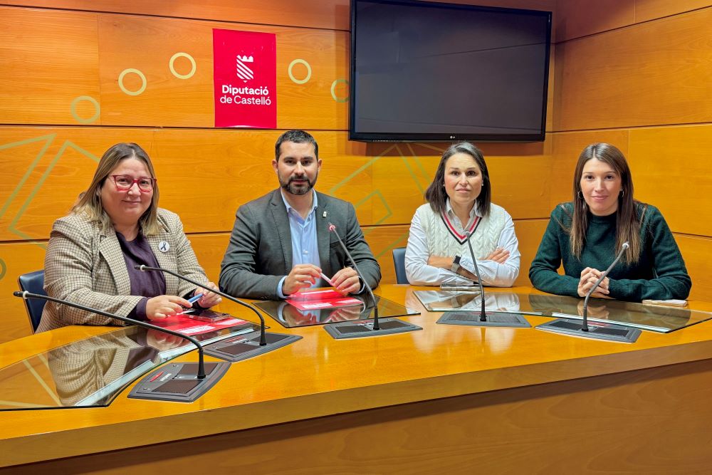 El PSPV presenta el seu model de «nova Diputació» i acusa el PP de conformar-se amb una institució «lenta»