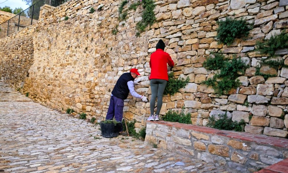Xert aconseguix 76.251,68 euros per a fomentar l’ocupació i millorar la prevenció d’incendis