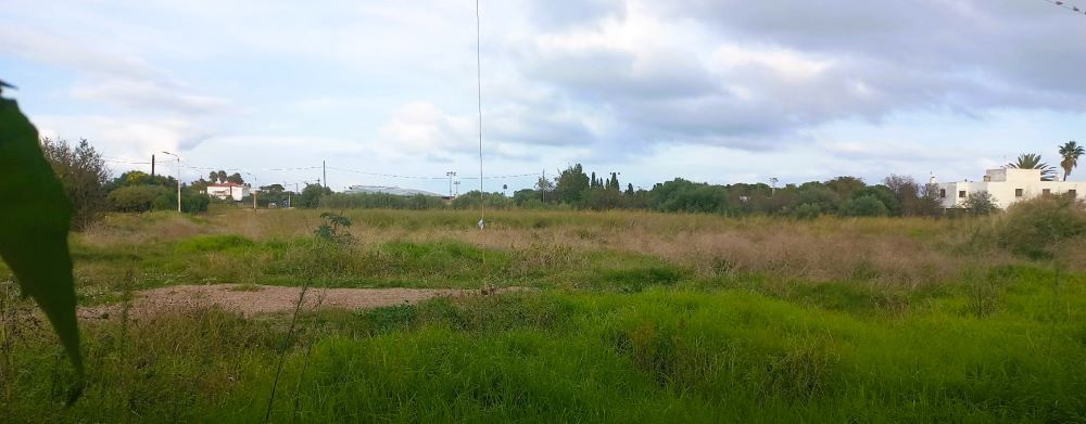 Sorlí valora el treball que s'ha fet per a la posada en marxa del PAI Povet de Benicarló