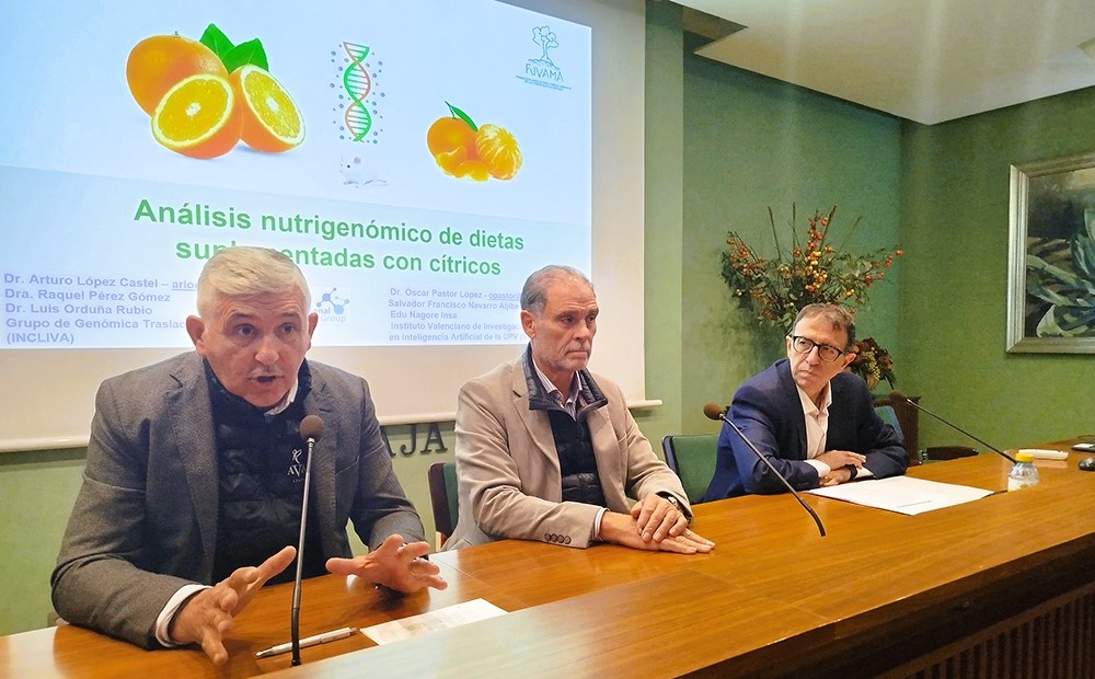 Un estudi pioner revela que incrementar la ingesta de taronja o mandarina millora el genoma