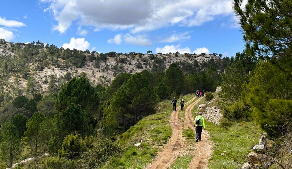 La Diputació reforça l'entorn natural invertint 230.000 euros en sendes públiques i homologades