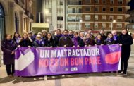 El PSPV es bolca en el 25N amb el missatge que «un maltractador no és un bon pare»