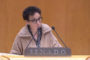 Benicarló presenta els principals actes de la Festa de la Carxofa 2026