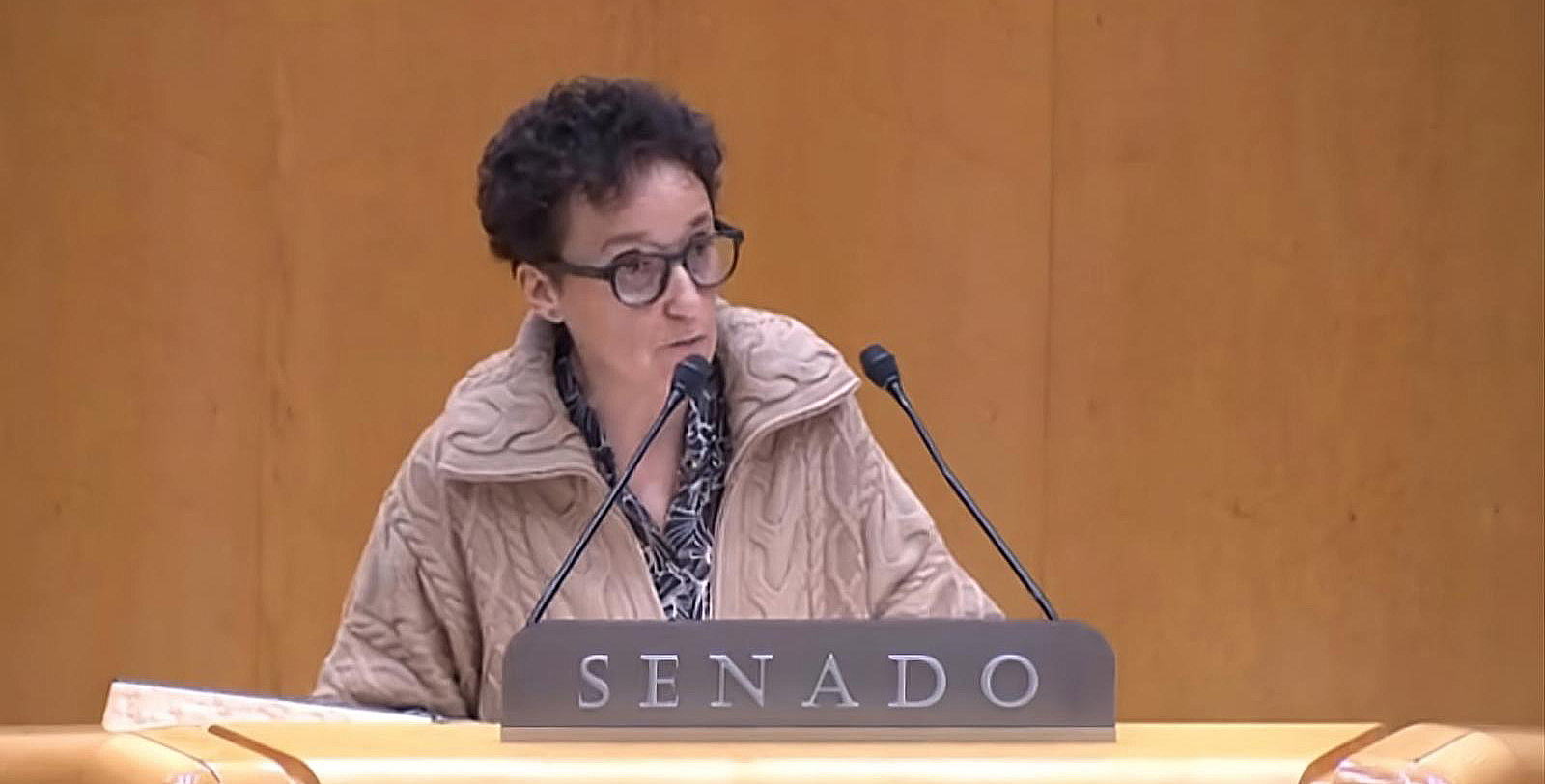 El PPCS defén al Senat a la ceràmica i proposa a la UE una transició climàtica «realista i responsable»