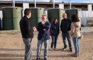 Barrachina anuncia l'ampliació de les ajudes per a protegir les granges de la pesta porcina africana