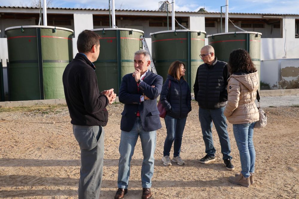 Barrachina anuncia l'ampliació de les ajudes per a protegir les granges de la pesta porcina africana
