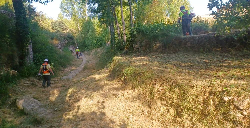 Palanques reforça la prevenció d’incendis forestals amb nova maquinària