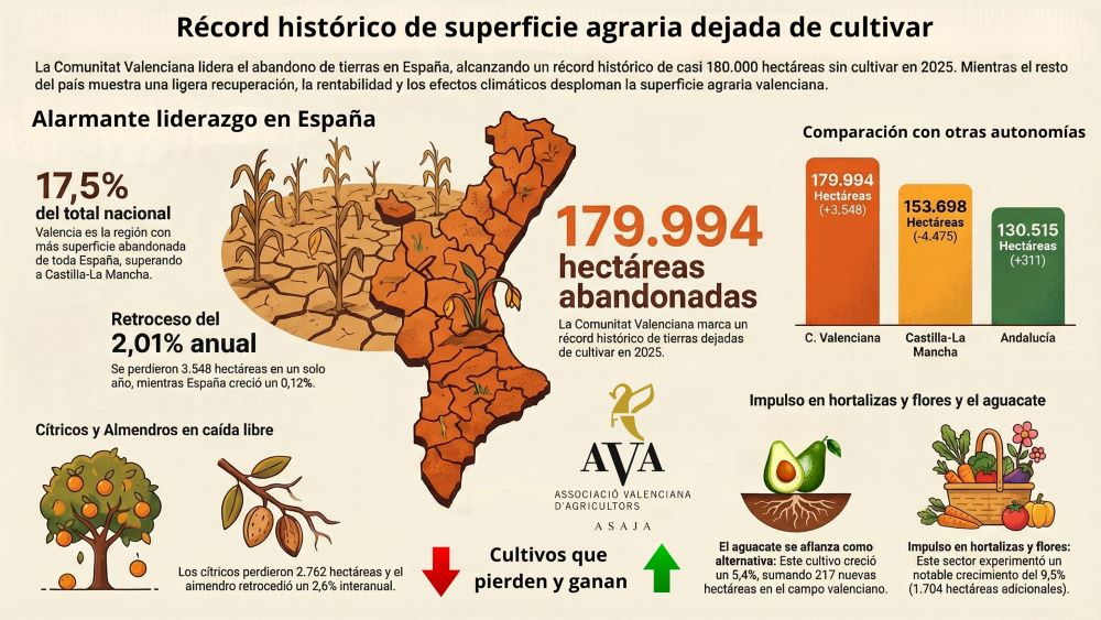 La CV deixa de cultivar 3.548 hectàrees en 2025 i bat el rècord històric de 180.000 hectàrees abandonades
