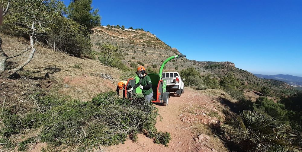 La Generalitat avança en el manteniment de zones naturals i seguretat per a la prevenció d'incendis